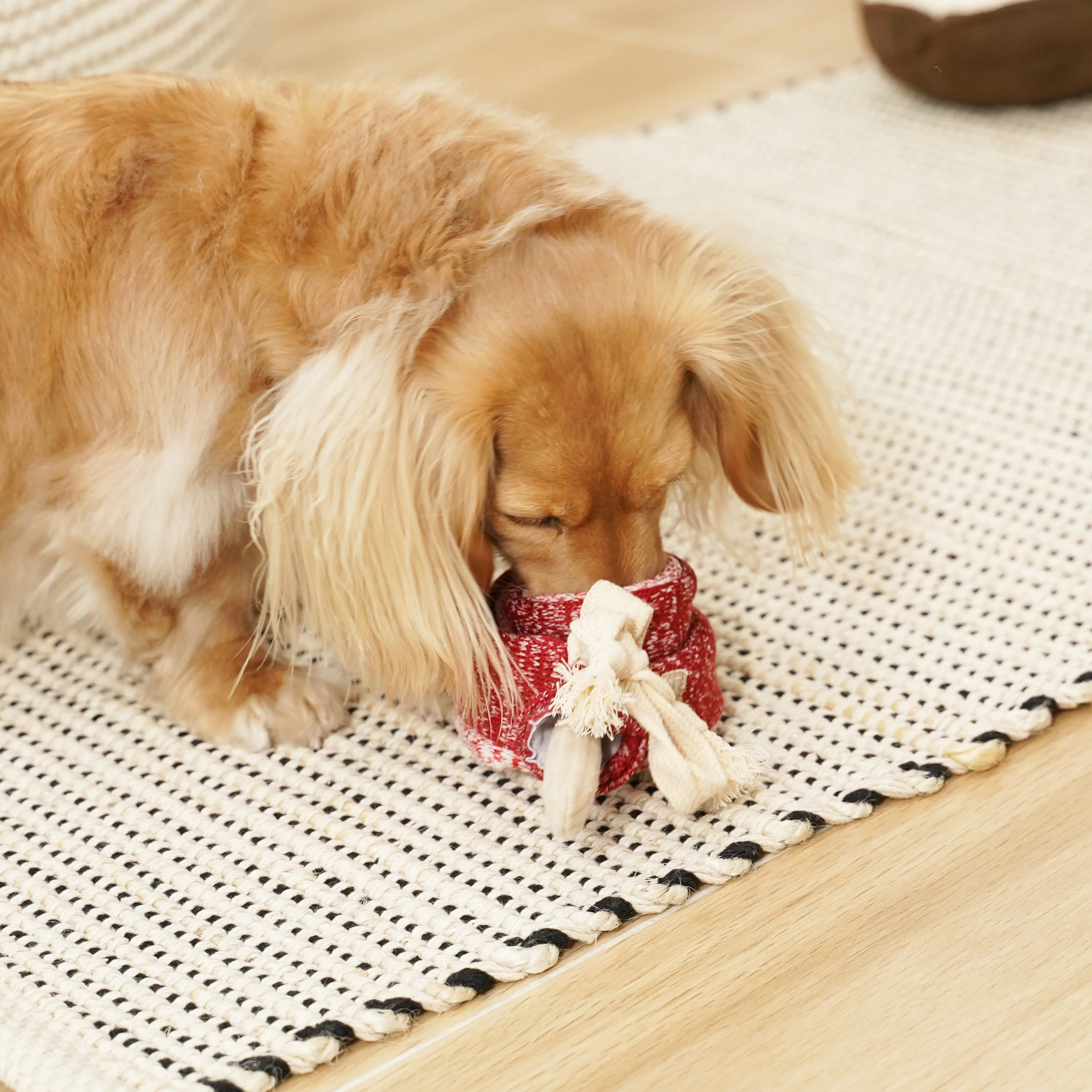 LAMBWOLF Schnüffelspielzeug Lutscher