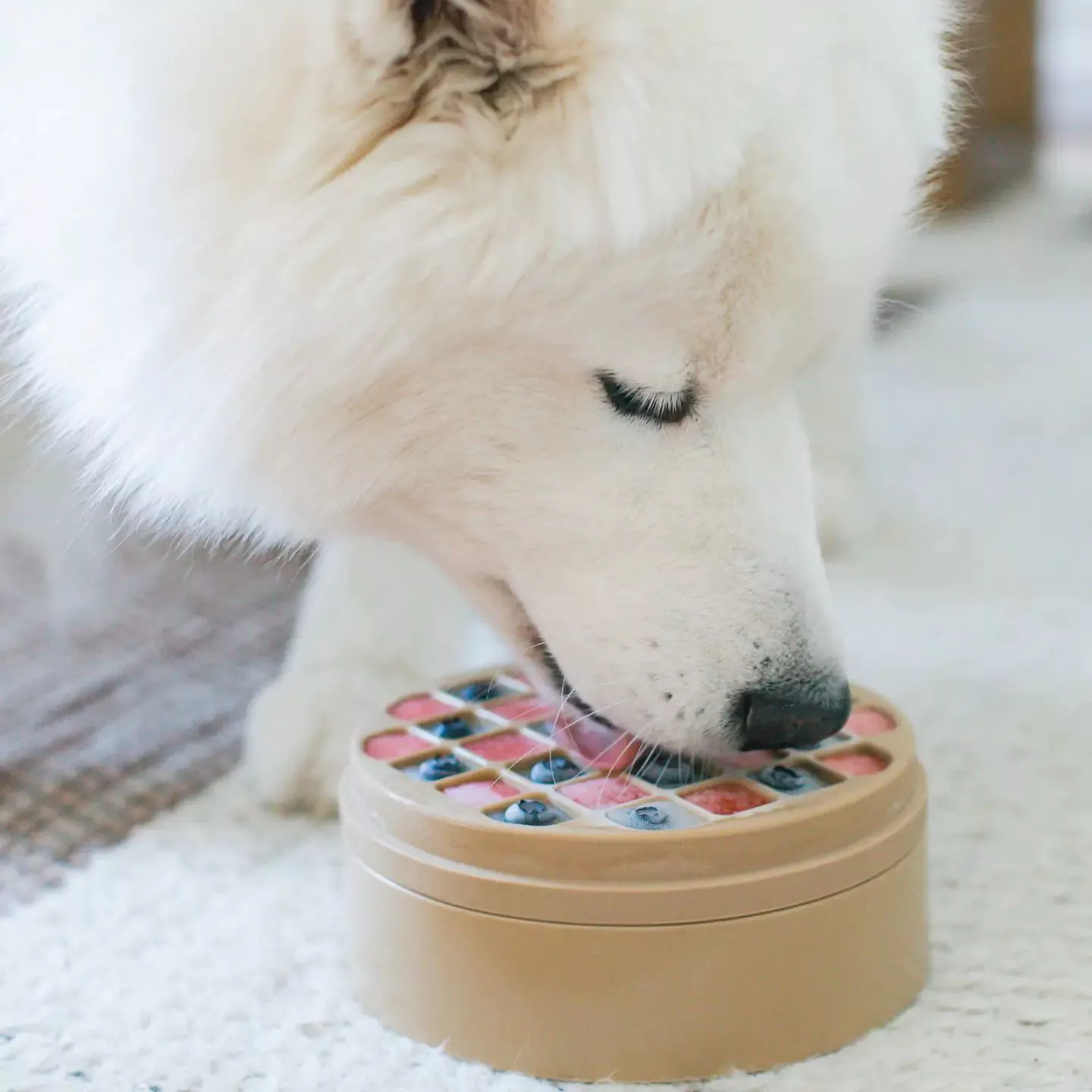 LAMBWOLF COLLECTIVE 3-IN-1 BENTO Leckmatte + Slow Feeder