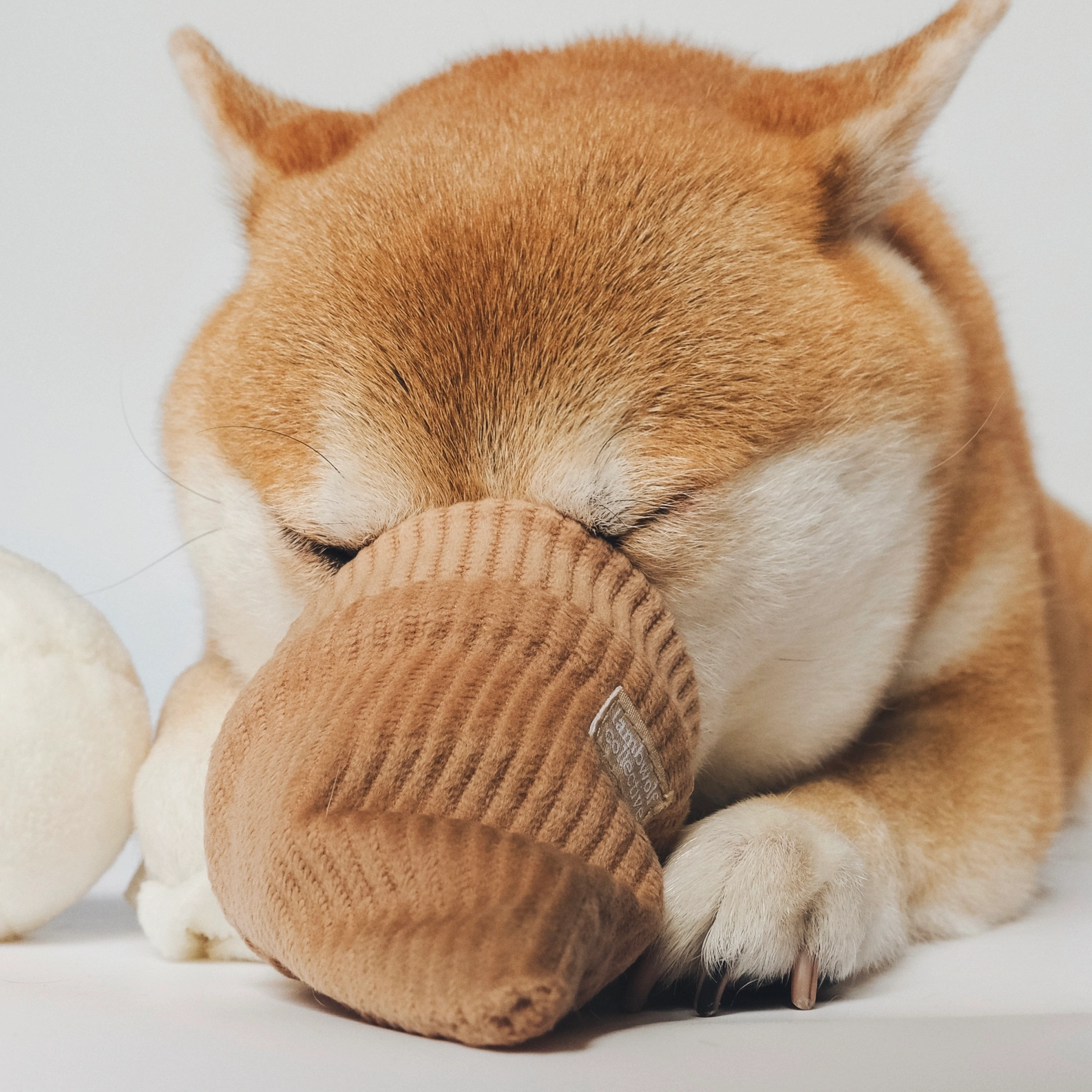 LAMBWOLF COLLECTIVE Schnüffelspielzeug Eis am Stiel