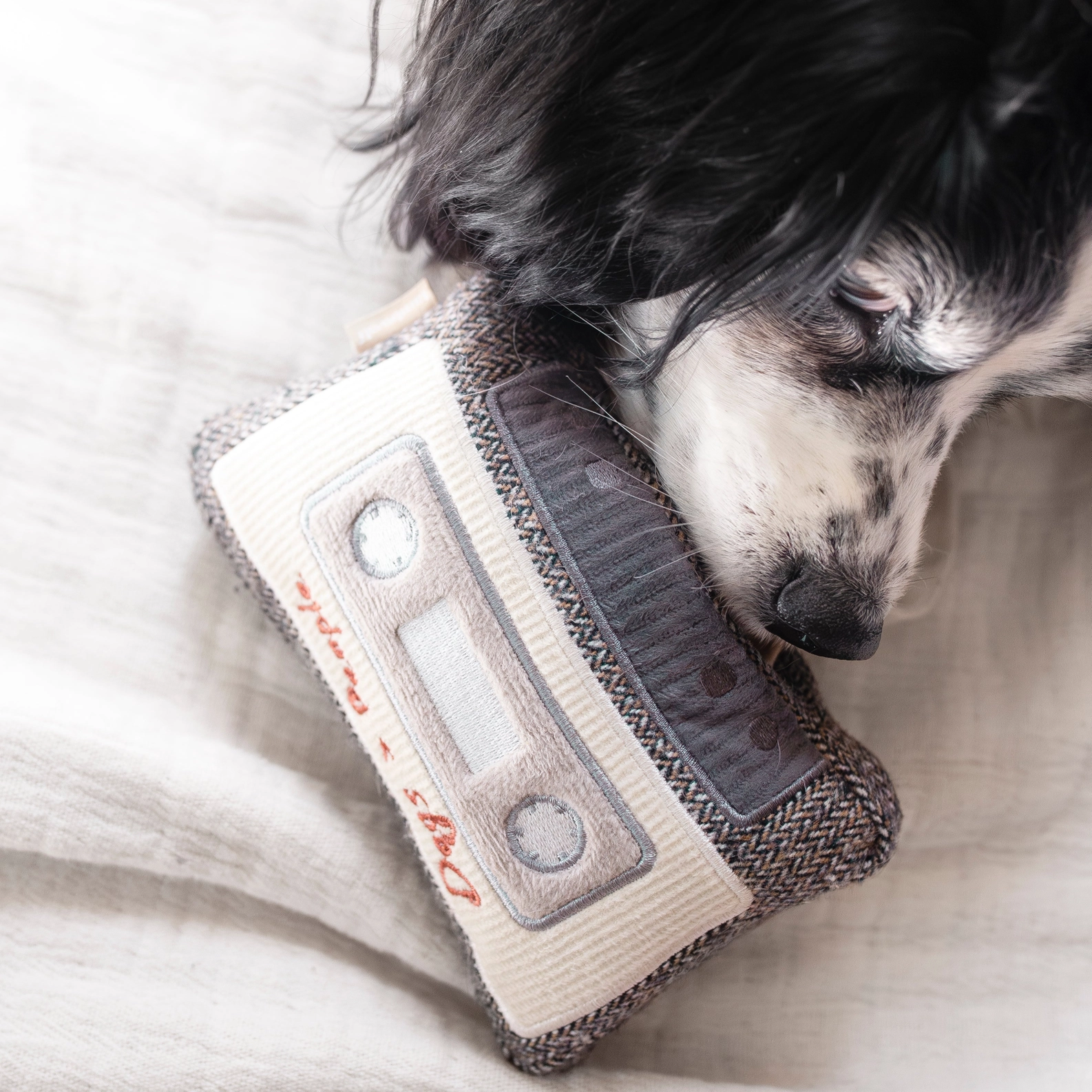 LAMBWOLF COLLECTIVE Schnüffelspielzeug Kassette