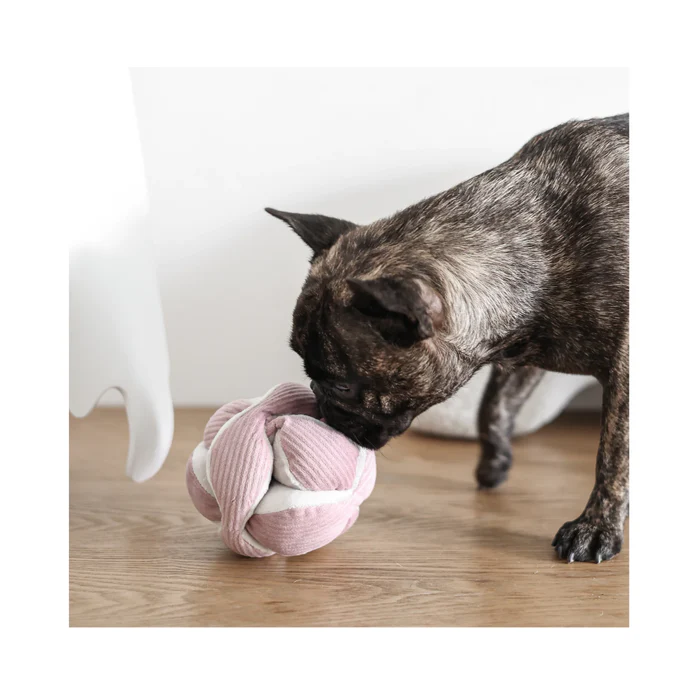 LAMBWOLF COLLECTIVE Schnüffelball MONTI Cord Blush