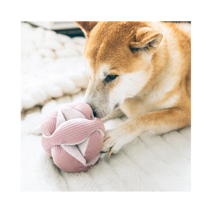 LAMBWOLF COLLECTIVE Schnüffelball MONTI Cord Blush