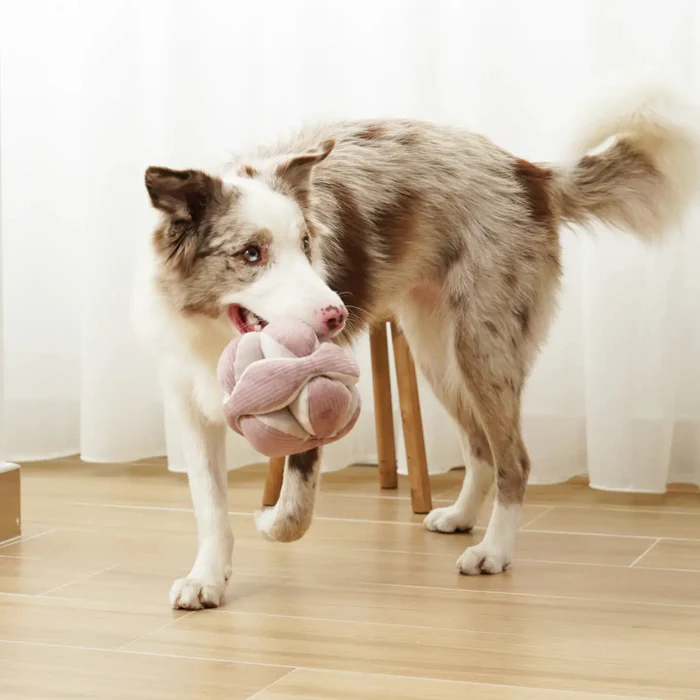 LAMBWOLF COLLECTIVE Schnüffelball MONTI Cord LILAC ohne Quietscher
