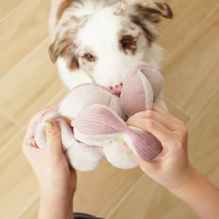 LAMBWOLF COLLECTIVE Schnüffelball MONTI Cord LILAC ohne Quietscher
