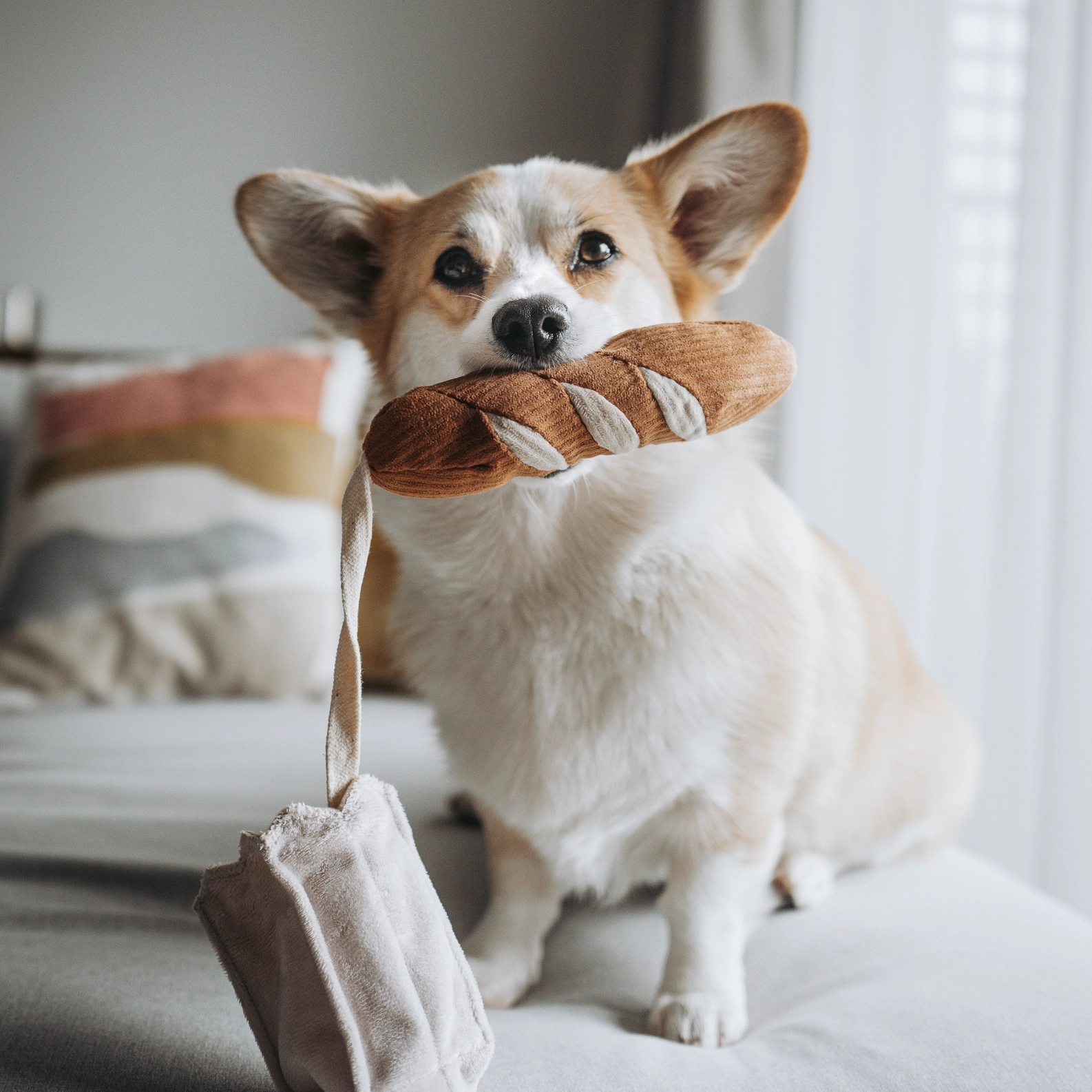 LAMBWOLF COLLECTIVE Schnüffelspielzeug Mini-Baguette