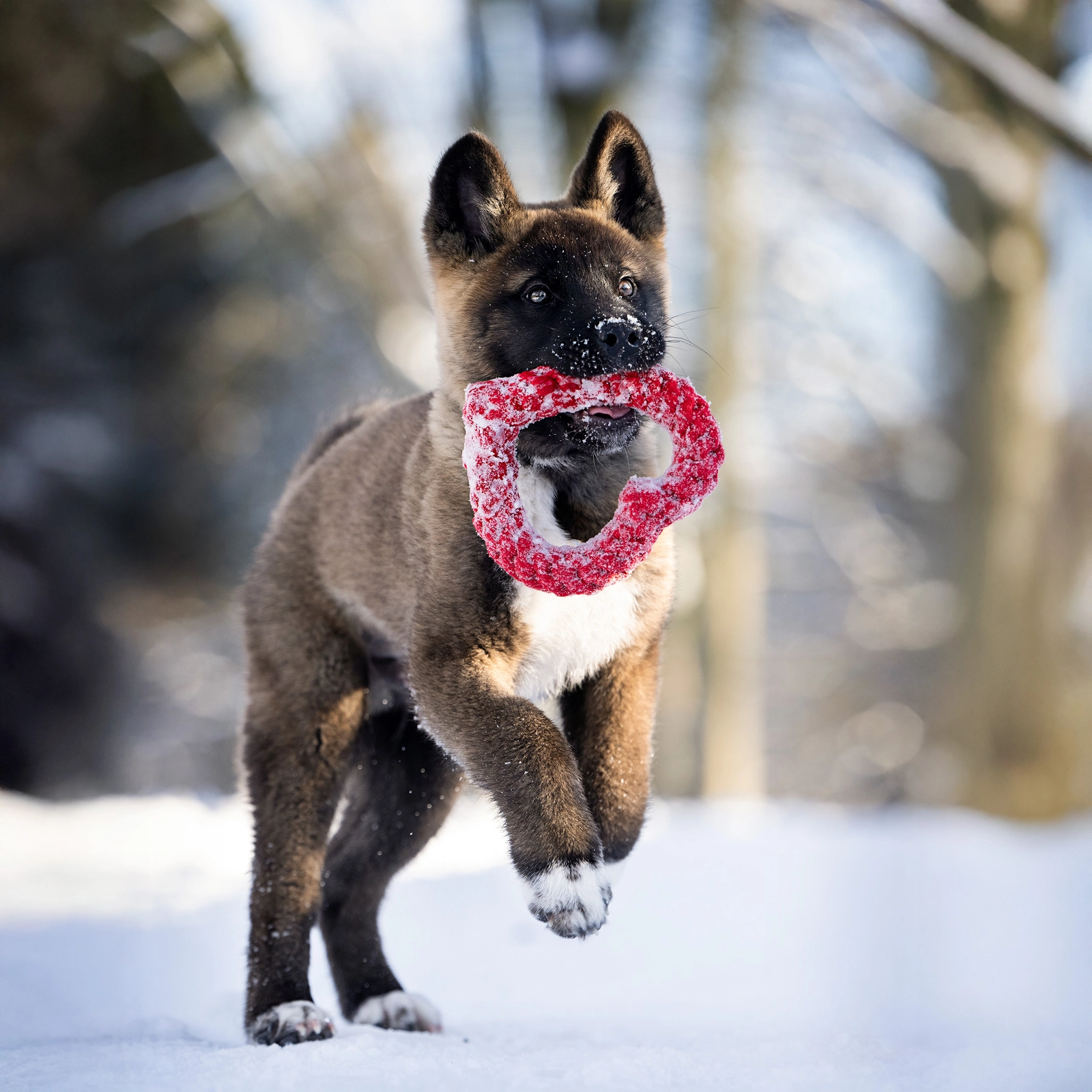 LABONI Hertha Heart