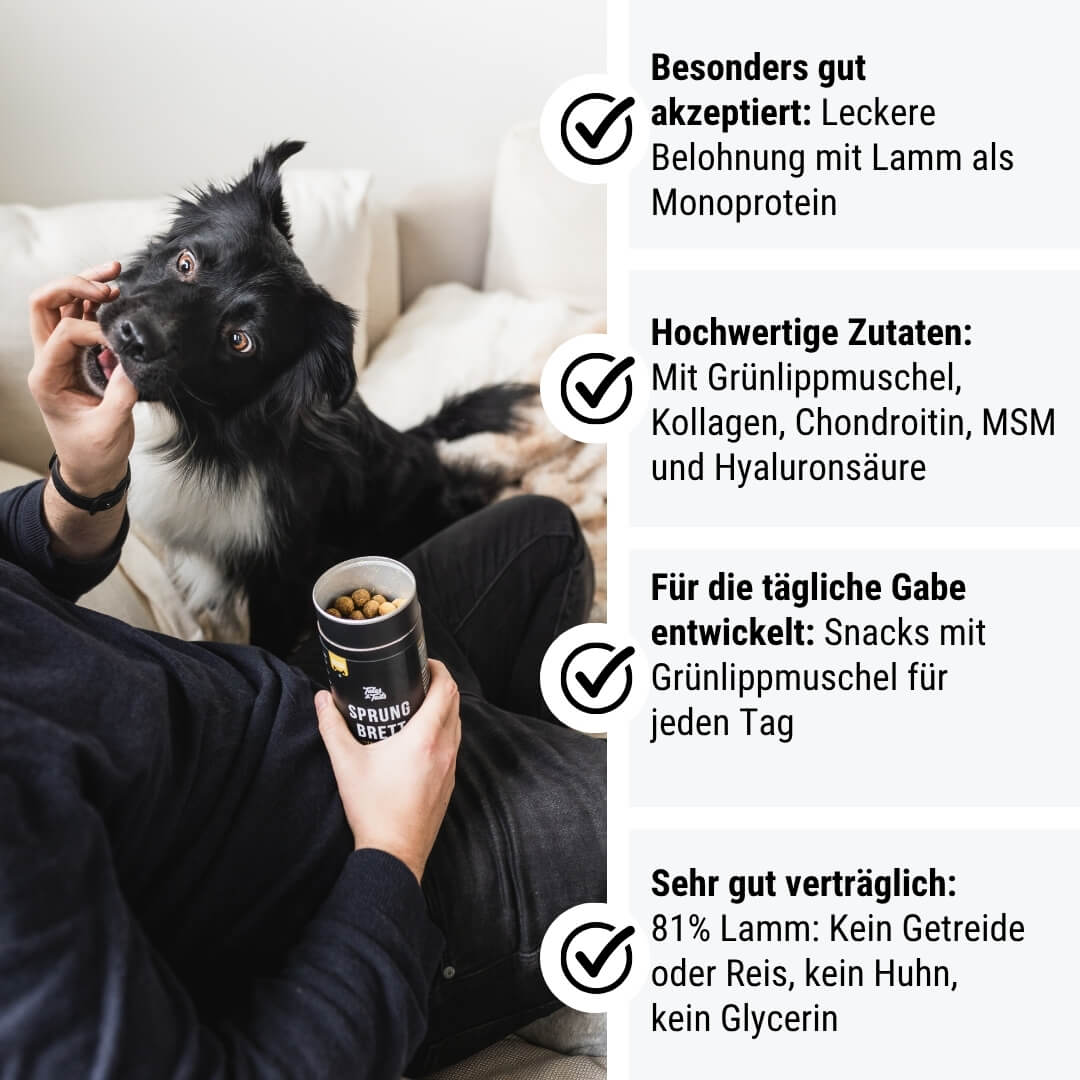 Tales & Tails Nr. 2 Sprungbrett - 80g