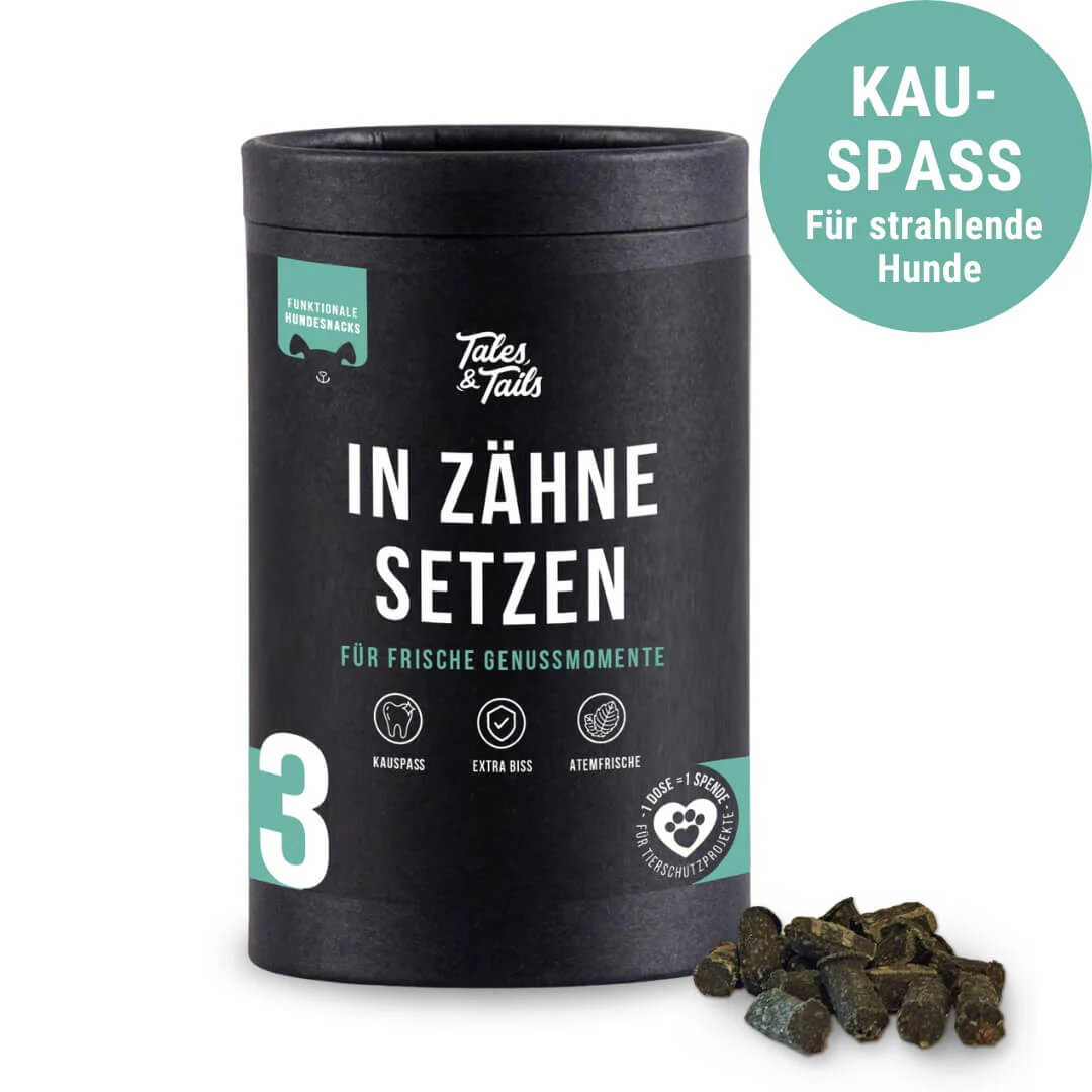 Tales & Tails Nr. 3 In Zähne setzen - 80g