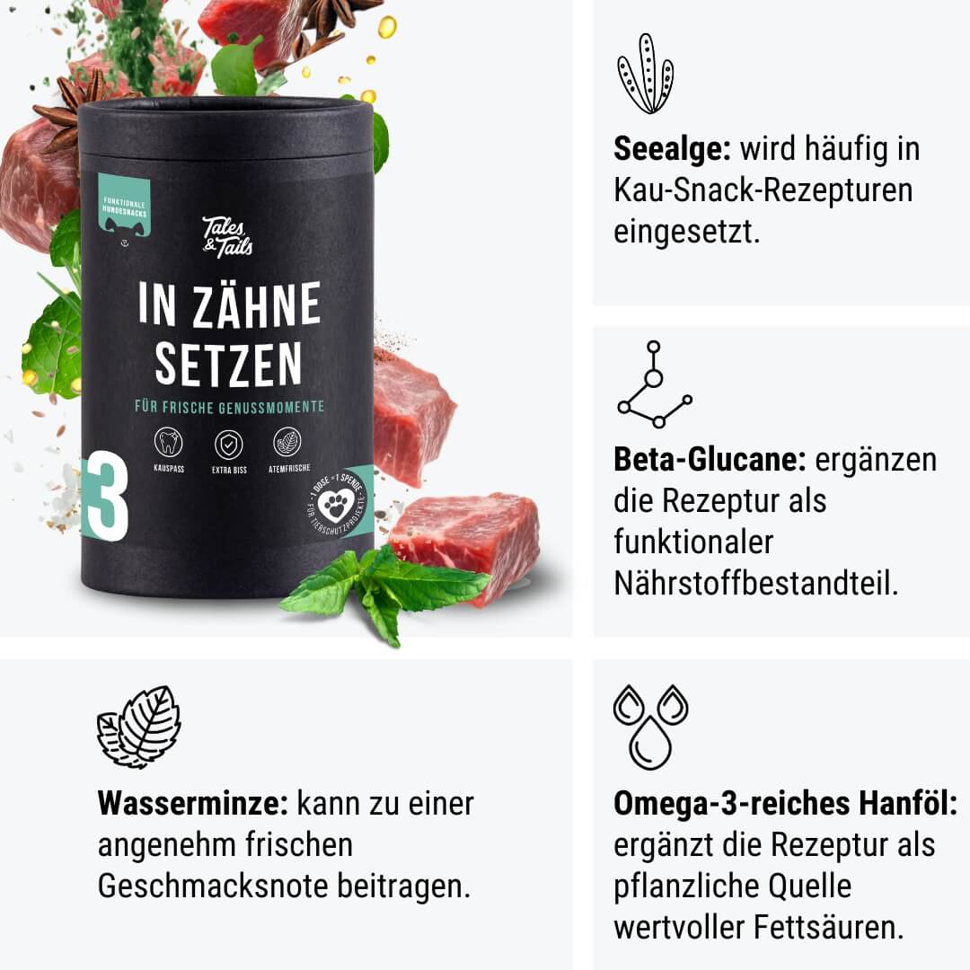 Tales & Tails Nr. 3 In Zähne setzen - 80g