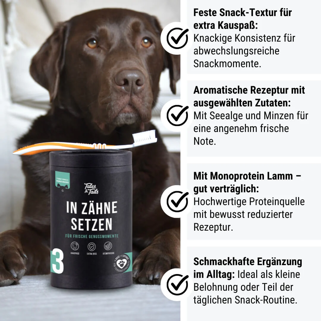 Tales & Tails Nr. 3 In Zähne setzen - 80g
