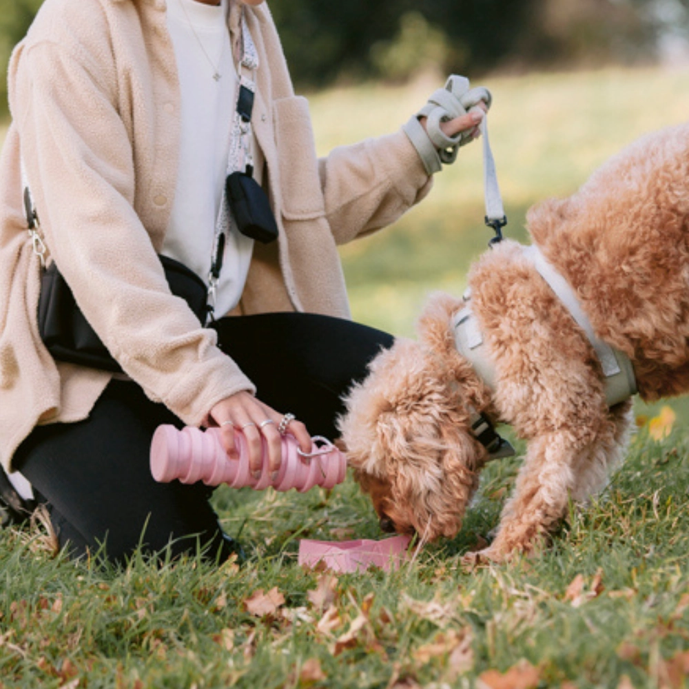 COCOPUP London Zusammenklappbare Trinkflasche – Pink