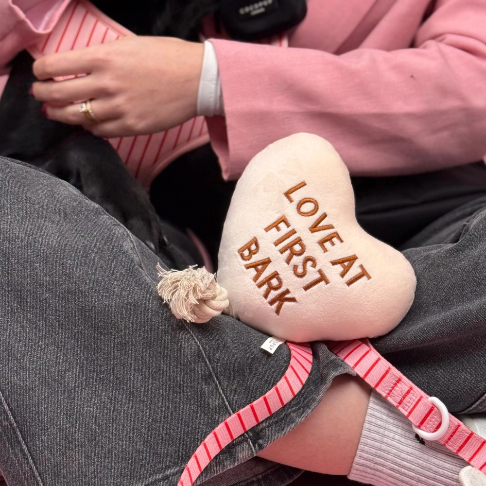 COCOPUP London Hundespielzeug "Love at first bark"