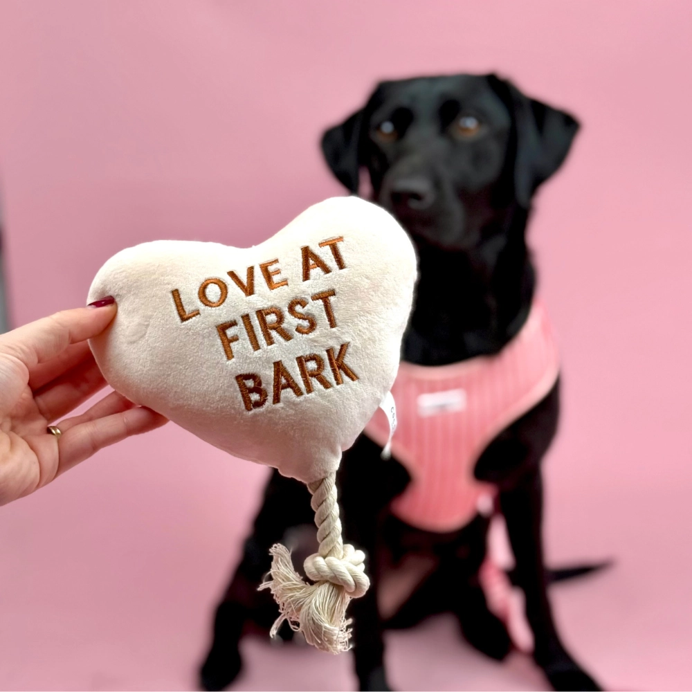 COCOPUP London Hundespielzeug "Love at first bark"