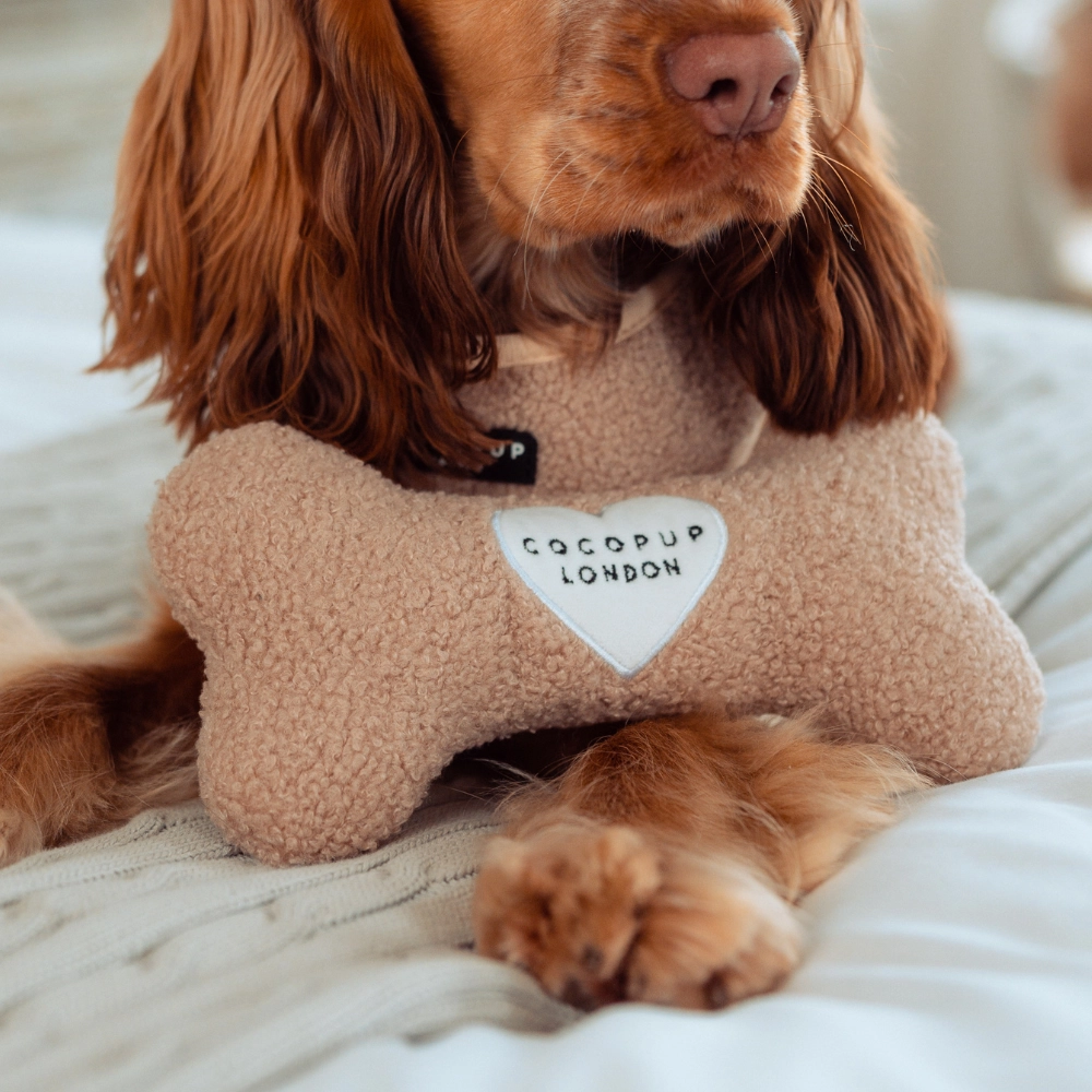 COCOPUP London Hundespielzeug "Teddy Rupert"