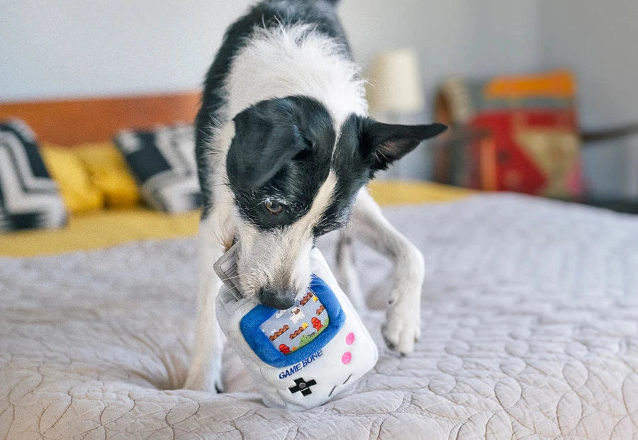 P.L.A.Y. Hundespielzeug Game Bone