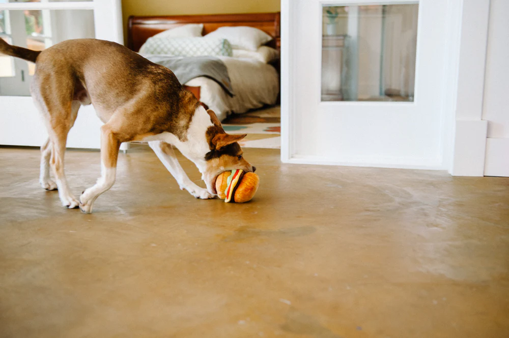P.L.A.Y. Hundespielzeug American Classic Barky Burger
