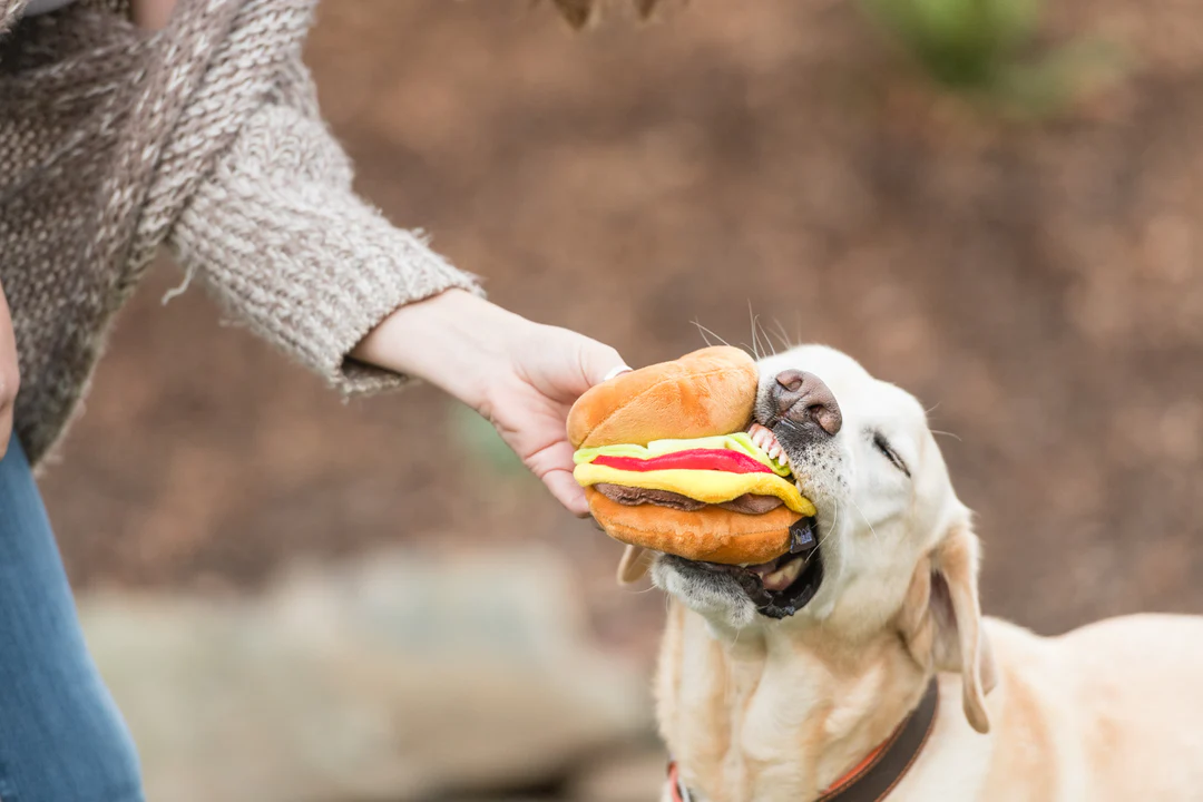 P.L.A.Y. Hundespielzeug American Classic Barky Burger