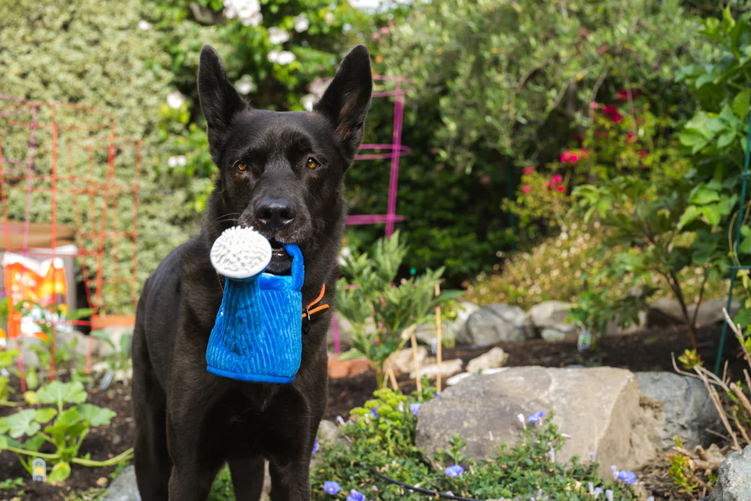 P.L.A.Y. Hundespielzeug Blooming Buddies Wagging Watering Can