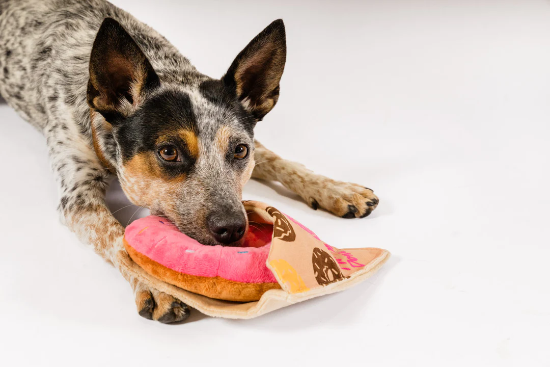 P.L.A.Y. Hundespielzeug Pup Cup Cafe Doughboy Donut