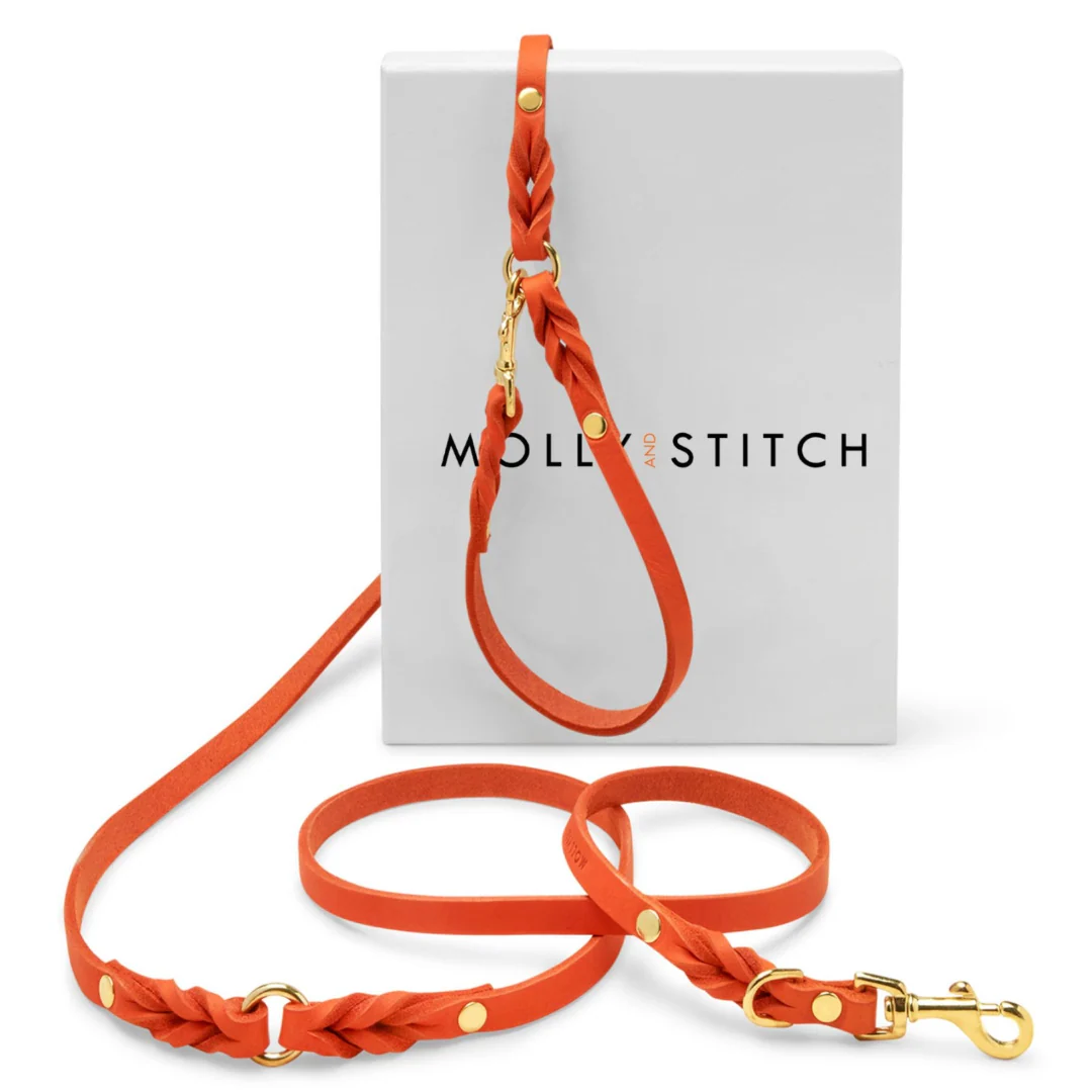 MOLLY & STITCH Butter Leather 3x verstellbare Hundeleine – Mango - Größe M