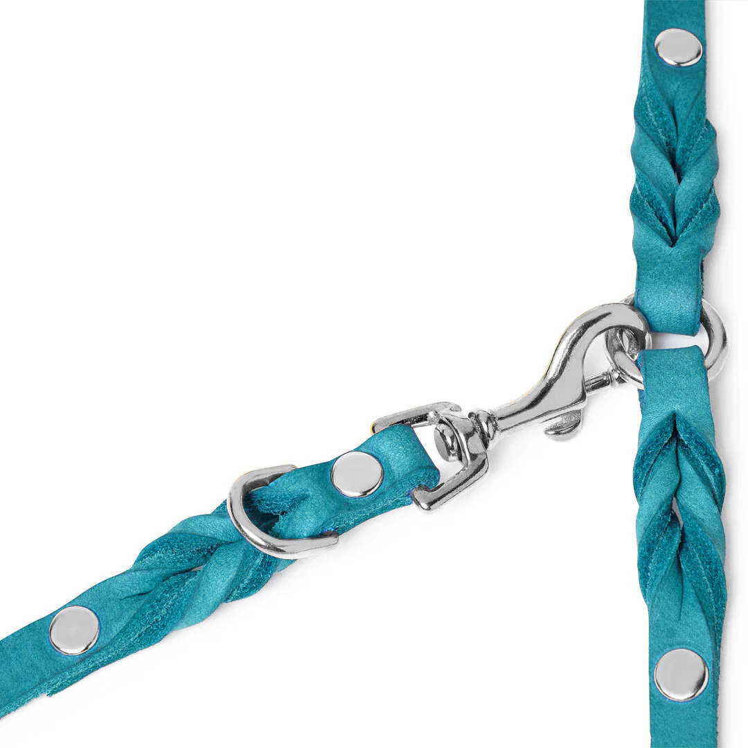 MOLLY & STITCH Butter Leather 3x verstellbare Hundeleine – Fiji Blue - Größe M