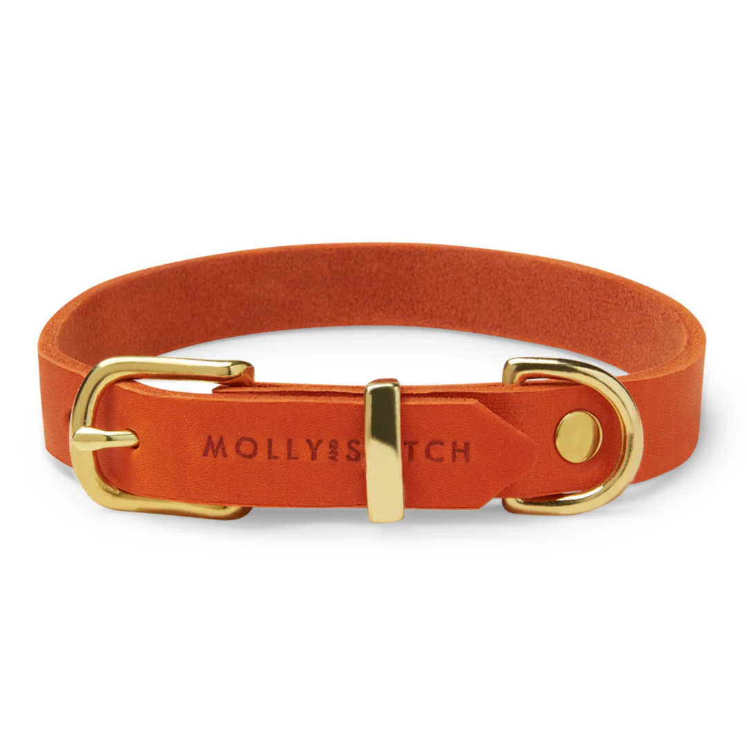 MOLLY & STITCH Butter Leather Halsband