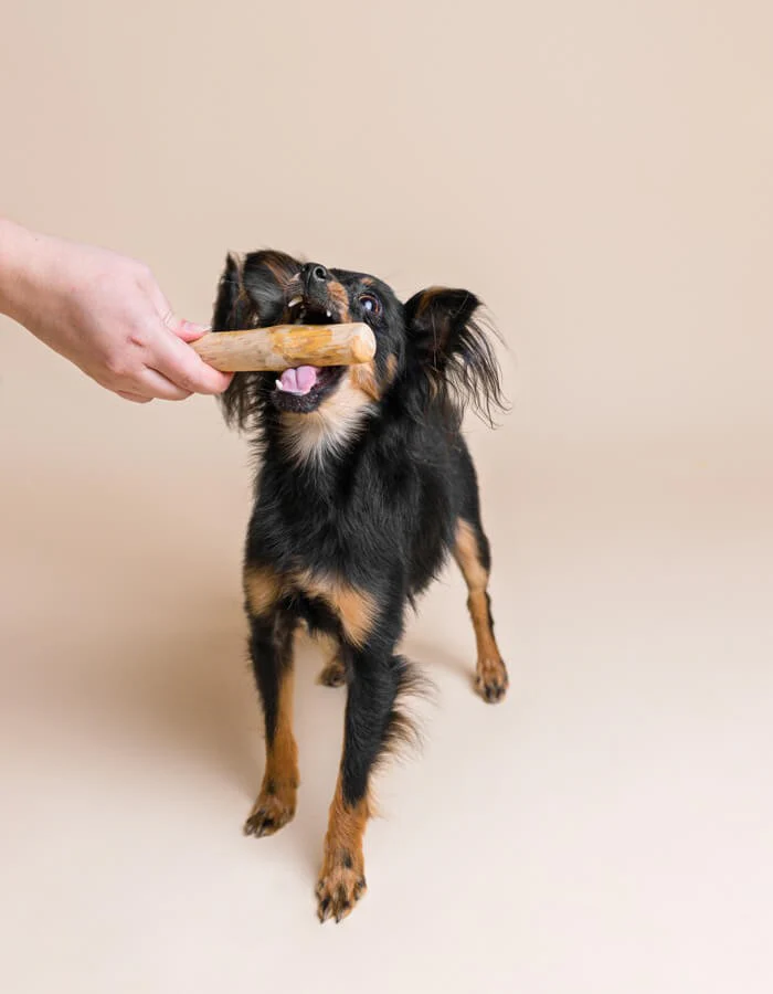 LILLABEL Kauknochen aus Kaffeeholz für Hunde – natürliches Kauspielzeug