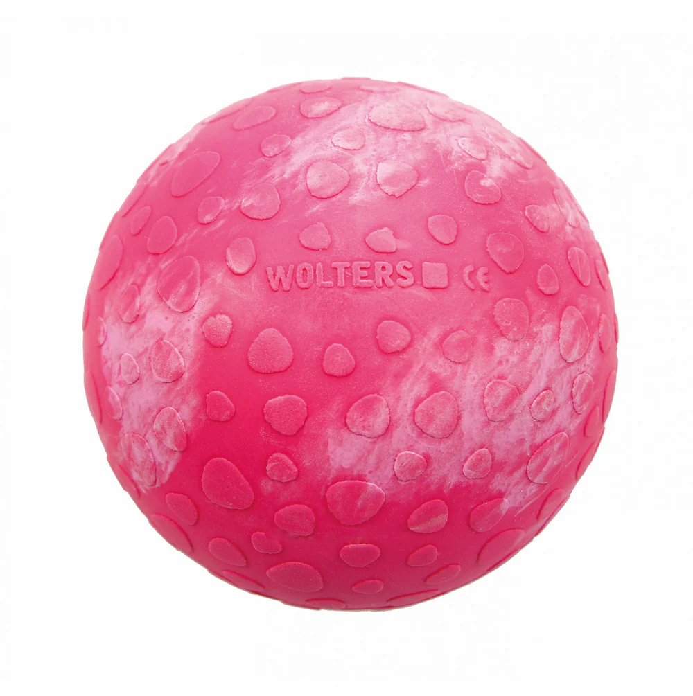 WOLTERS Dog Fun Ball