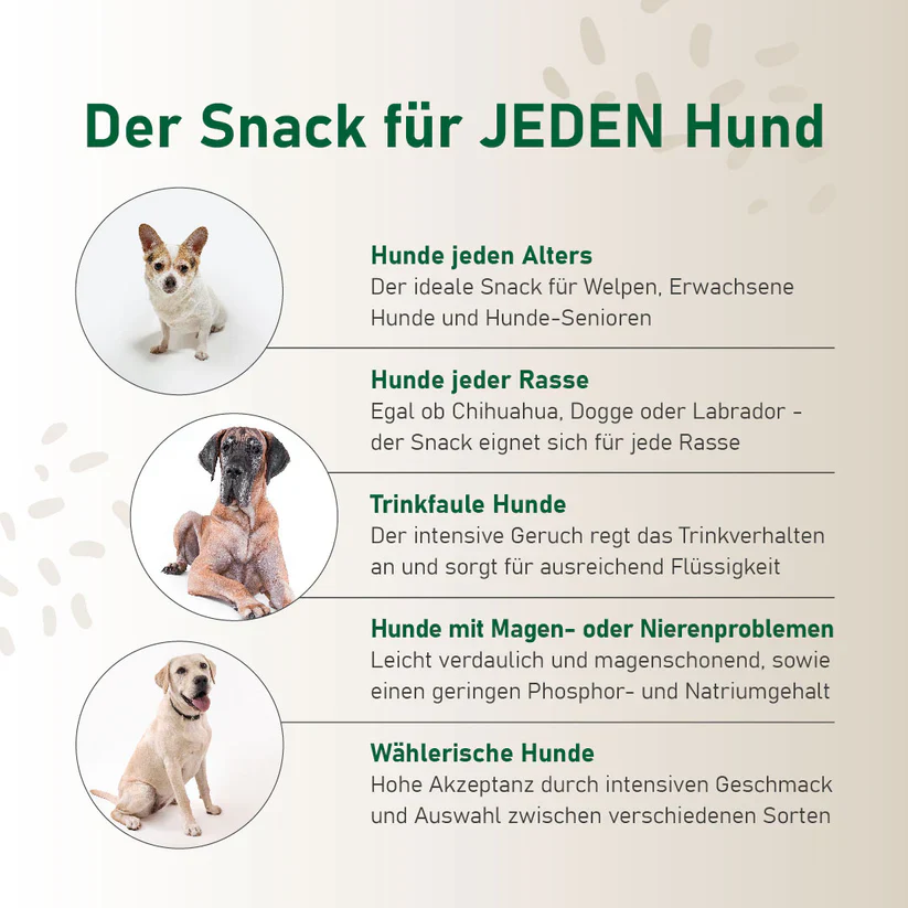 SmoothieDog Lamm