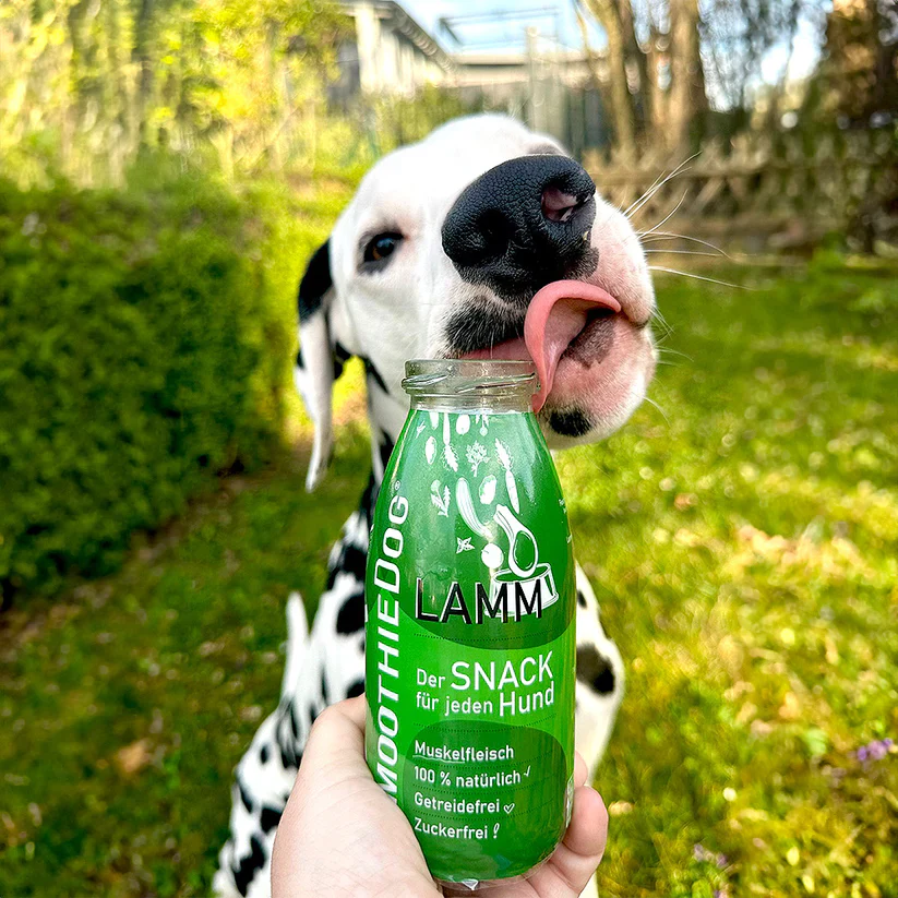 SmoothieDog Lamm