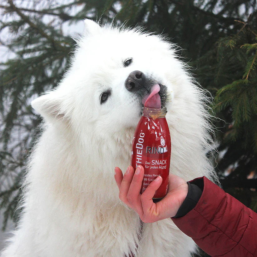 SmoothieDog Rind