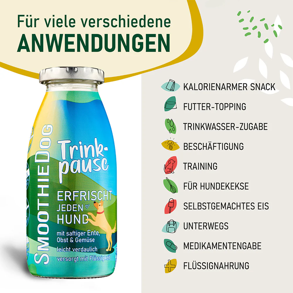 SmoothieDog Trinkpause