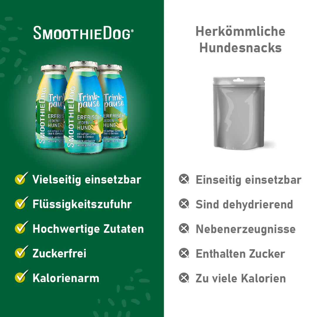 SmoothieDog Trinkpause