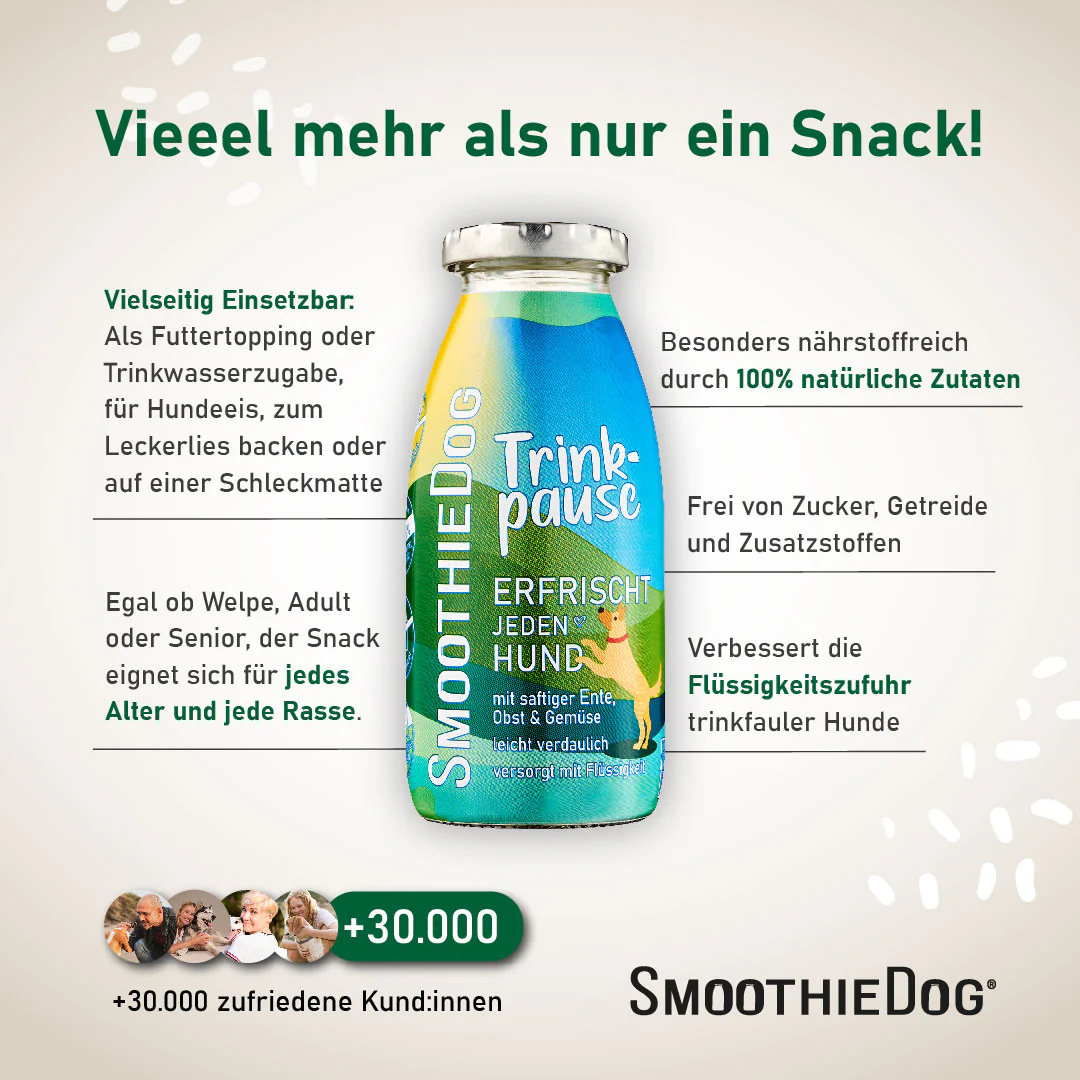SmoothieDog Trinkpause