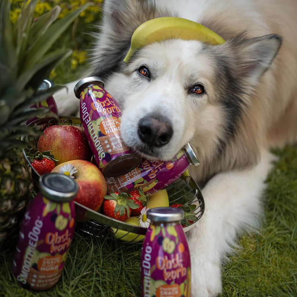 SmoothieDog Obstkorb