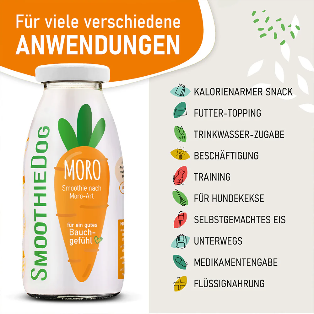 SmoothieDog Morosche Karottensuppe