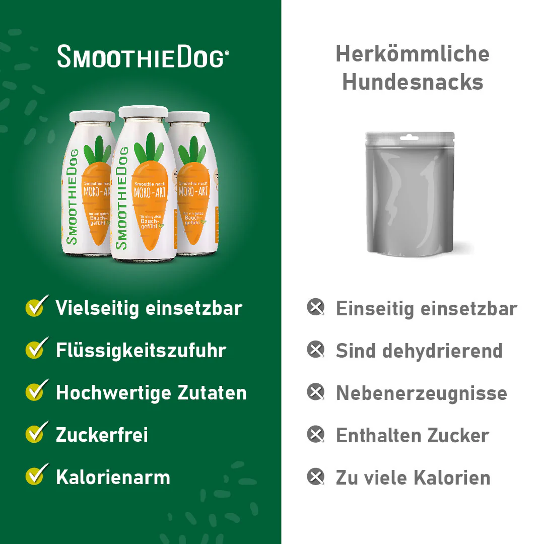 SmoothieDog Morosche Karottensuppe