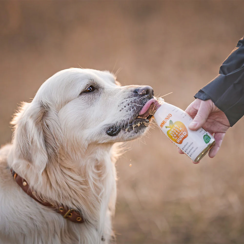 SmoothieDog IMMUNIO (Rind)