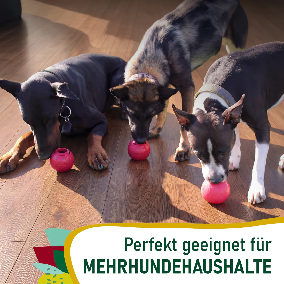 SmoothieDog Schleckball