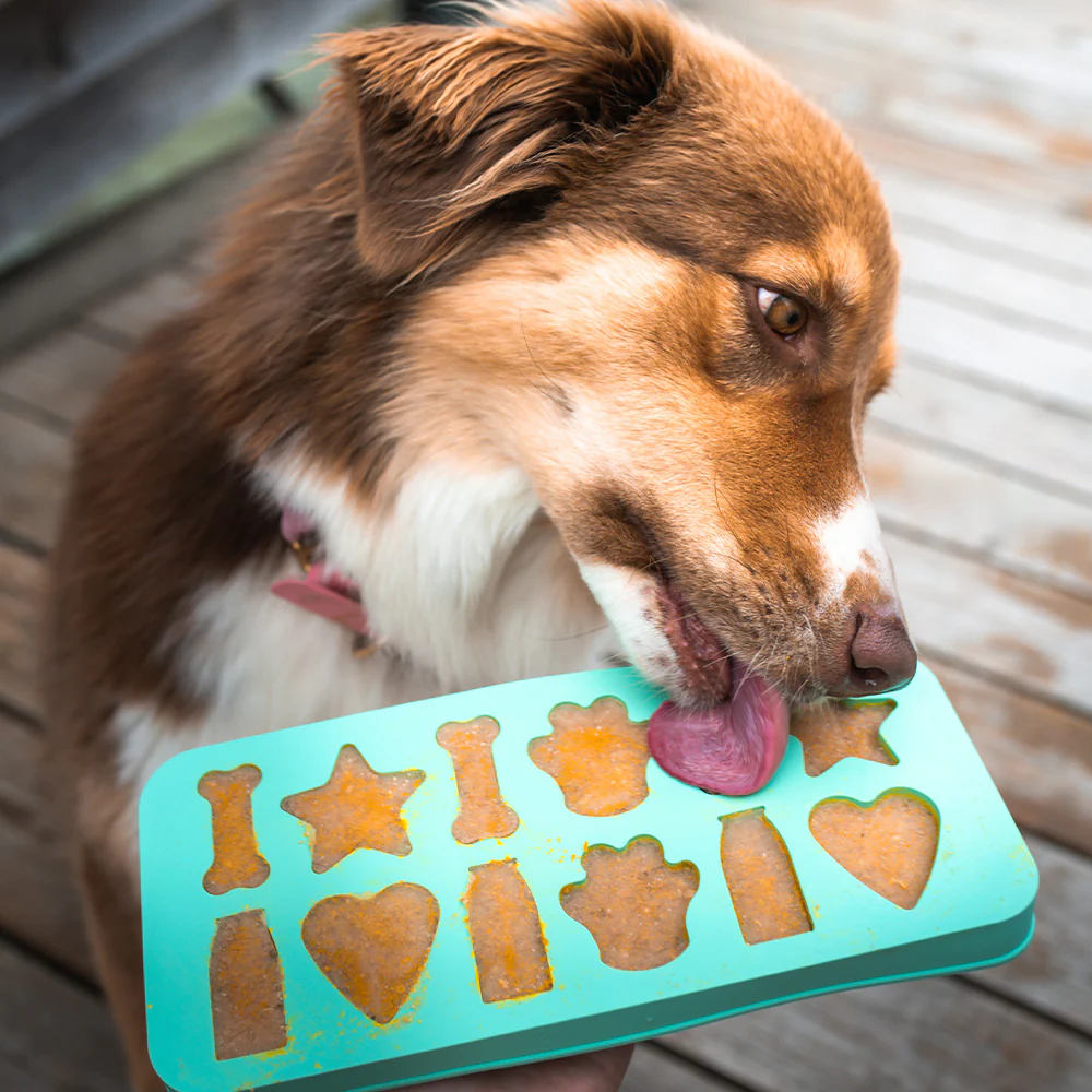 SmoothieDog Eiswürfelform