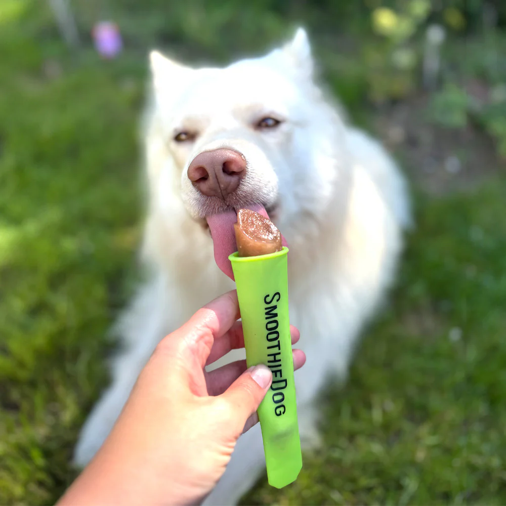 SmoothieDog IcePop Form