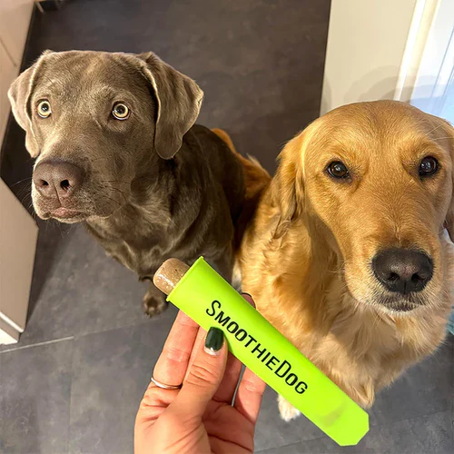 SmoothieDog IcePop Form