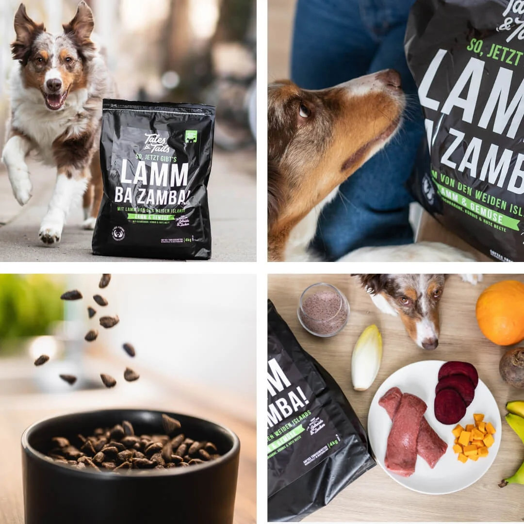 TALES & TAILS LammBa Zamba! - 1,5kg