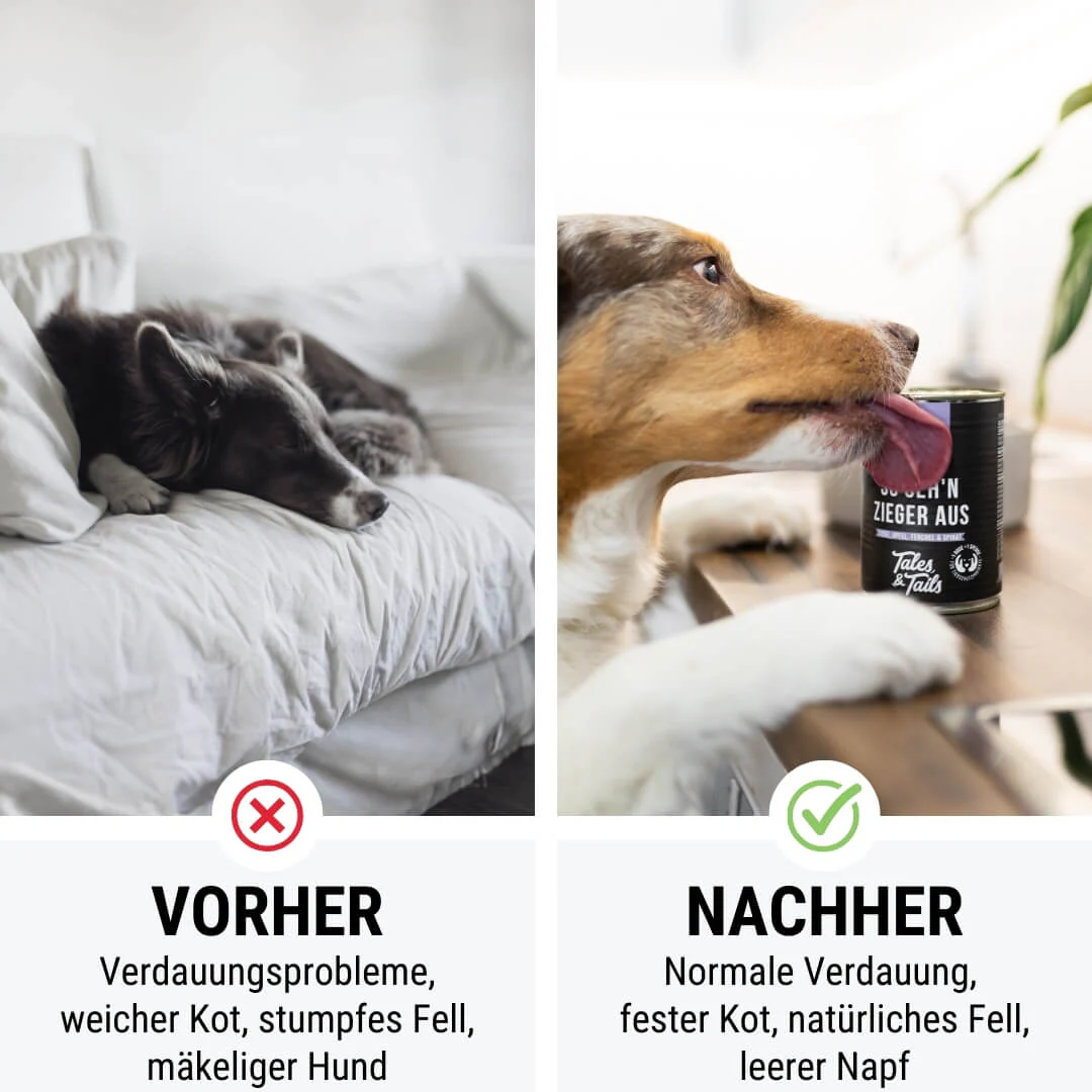 Tales & Tails So seh'n Zieger aus - 400g