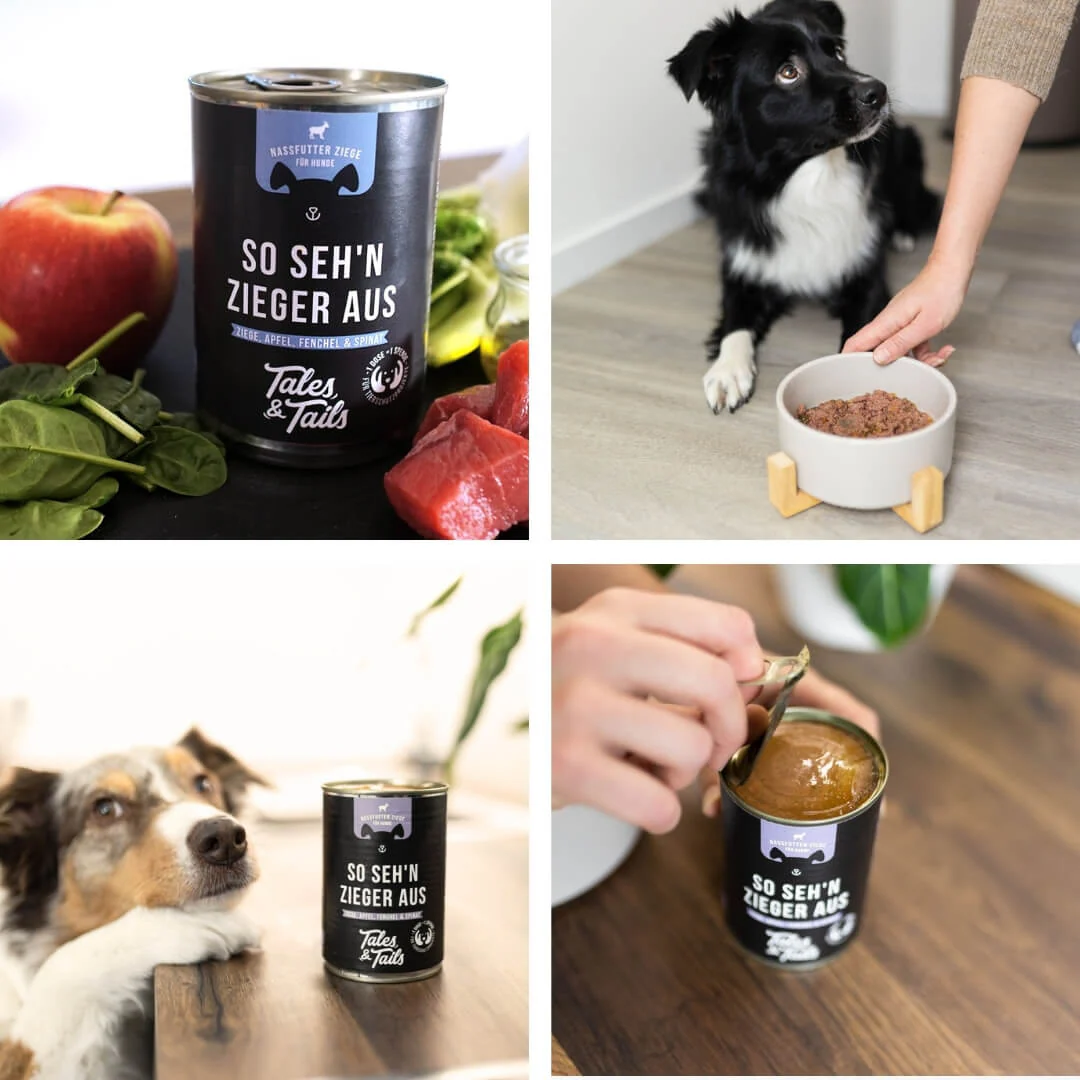 Tales & Tails So seh'n Zieger aus - 400g