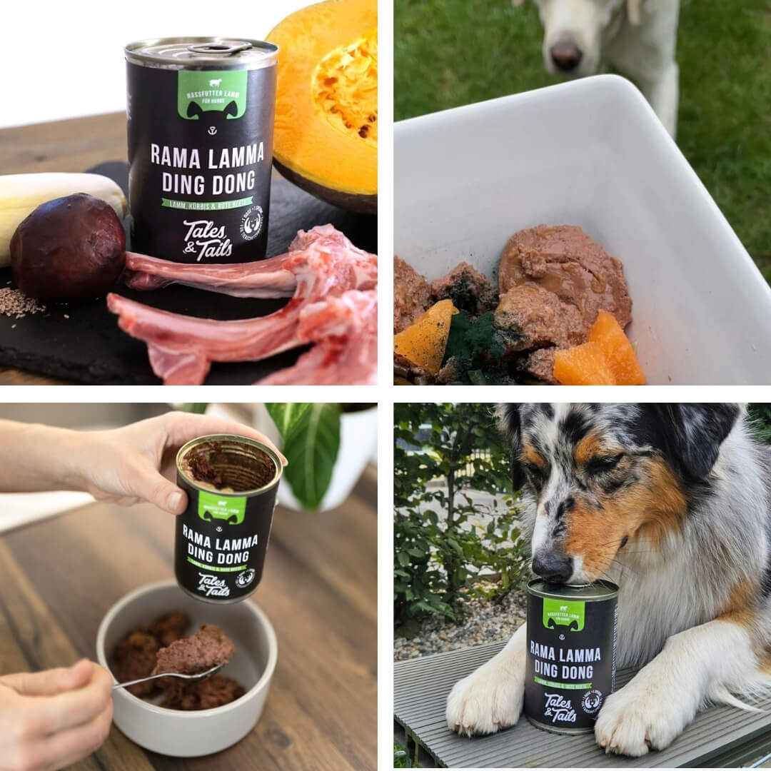 Tales & Tails Rama Lamma Ding Dong- 400g