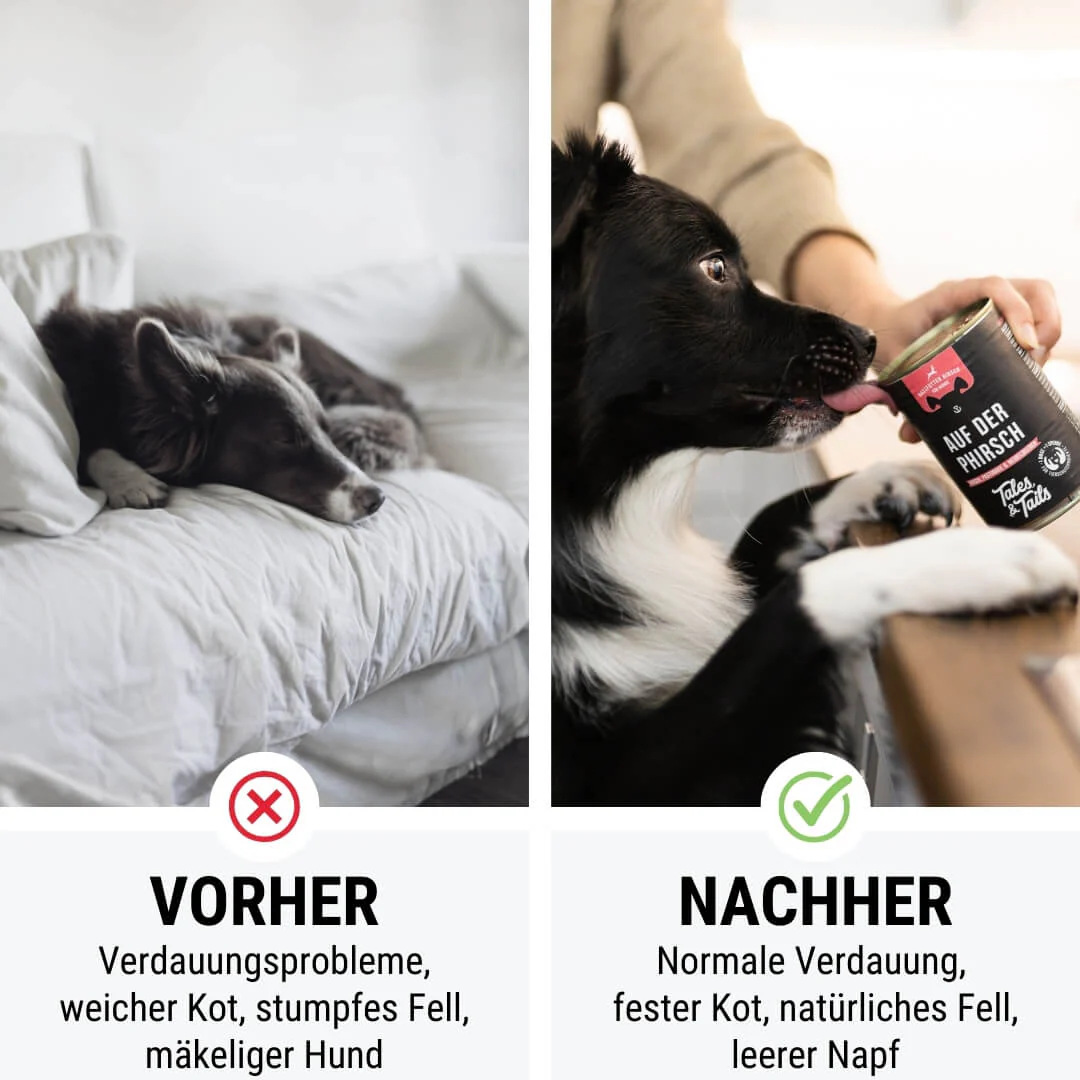Tales & Tails Auf der PHirsch - 400g
