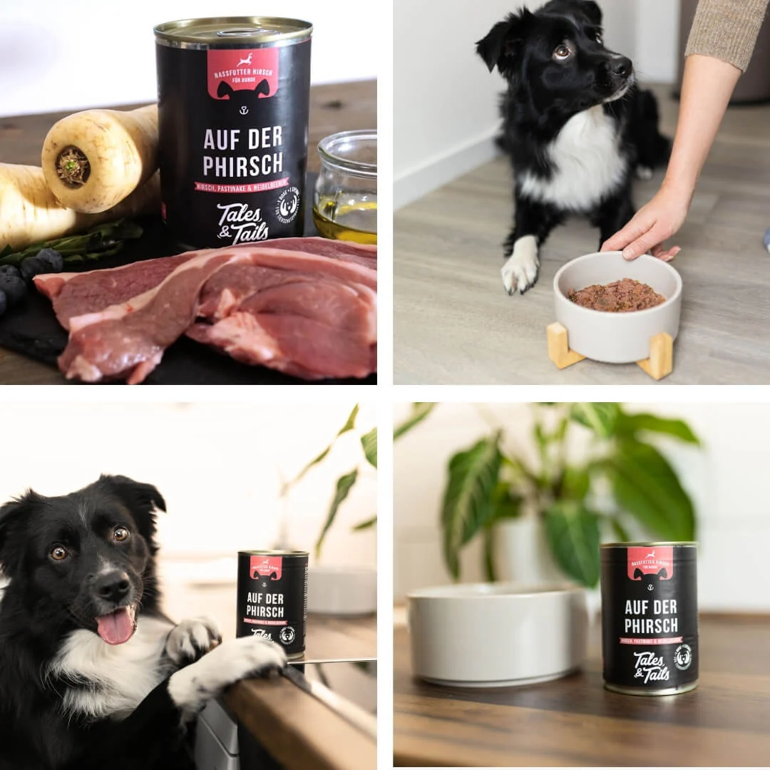 Tales & Tails Auf der PHirsch - 400g
