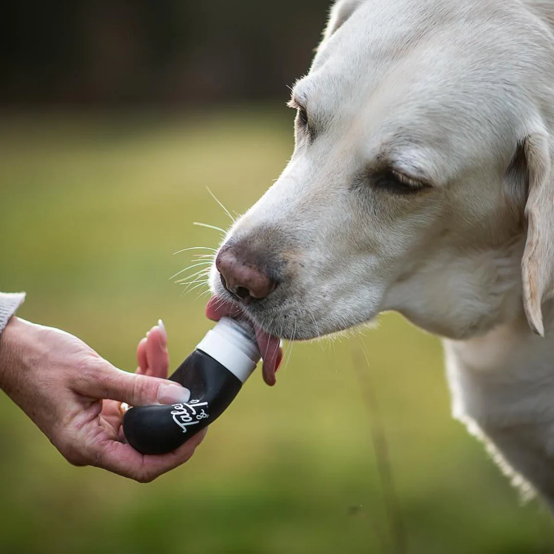Tales & Tails Mmh Schleck Schleck