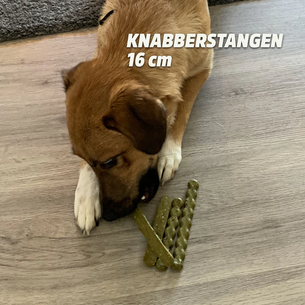 Collory Backmatten für Hundesnack in Stangenform